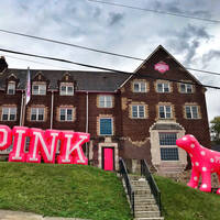   Victoria's Secret PINK’s Pink Nation University