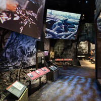   The National WWII Museum: Road to Tokyo Pacific Theater Galleries