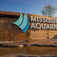   THE MISSISSIPPI AQUARIUM