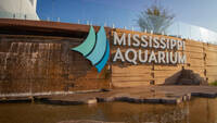   THE MISSISSIPPI AQUARIUM