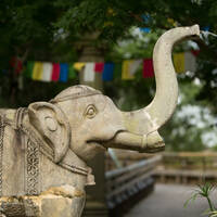   Asian Elephant Exhibit at Audubon Zoo