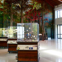   Louisiana Nature Center